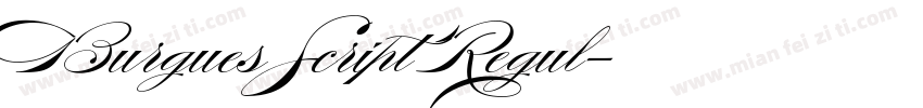 Burgues Script Regul字体转换